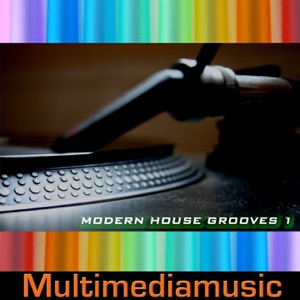 Modern House Grooves, Vol. 1