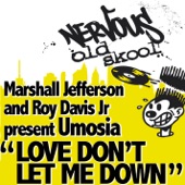 Love Don't Let Me Down (Wayne Gardiner's Soft Reprise Meltdown) artwork