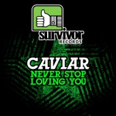 Never Stop Loving You artwork