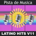 Ricardo Montaner- Amarte Es Mi Pecado