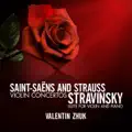 Concerto No. 3 in B Minor for Violin and Orchestra, Op. 61: II. Andantino quasi allegretto