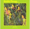 Marble Phrogg