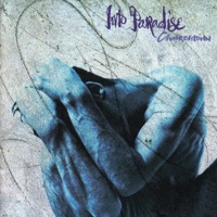 Into Paradise - Bring Me Up