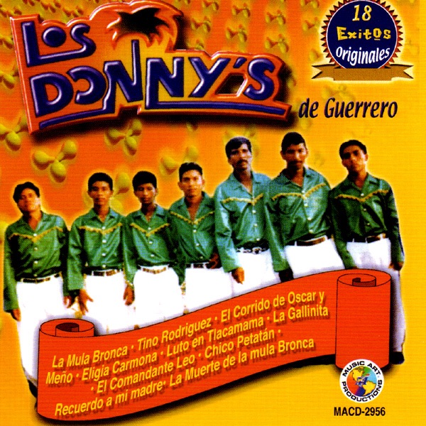 Los Donny's de Guerrero: 18 Exitos Originales album cover