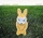 Matthew Good - Apparitions