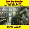 Torri Wowo - Single