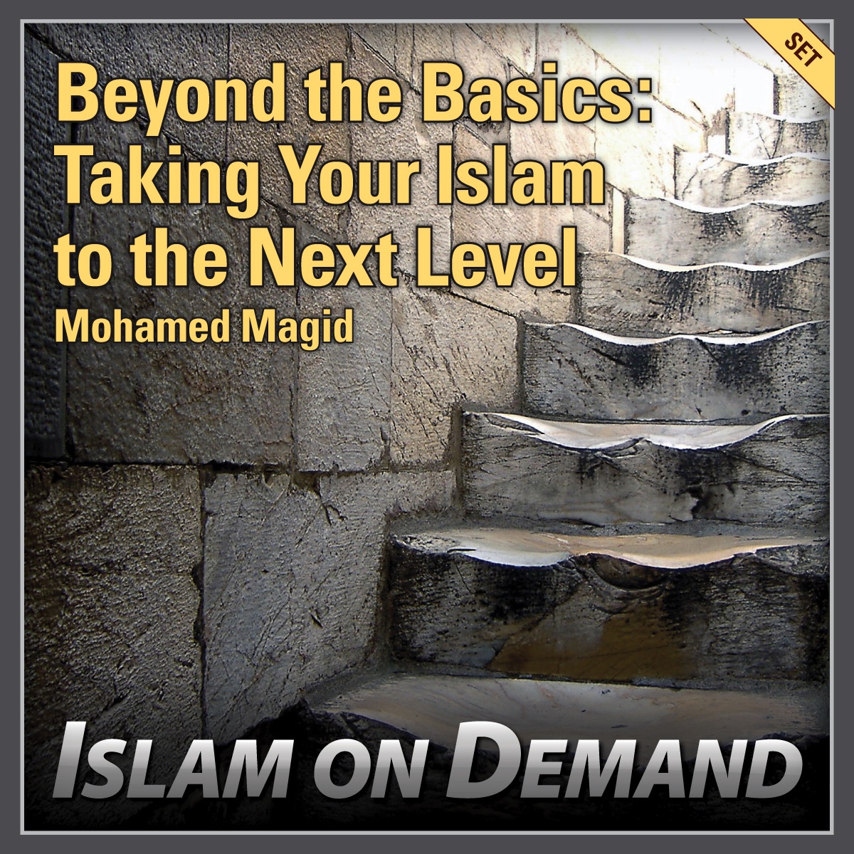 Beyond the Basics: Taking Your Islam to the Next Level (9 Lectures)