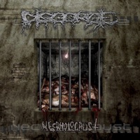 Album cover for Boiling Vomit Through My Veins by Disgorge
