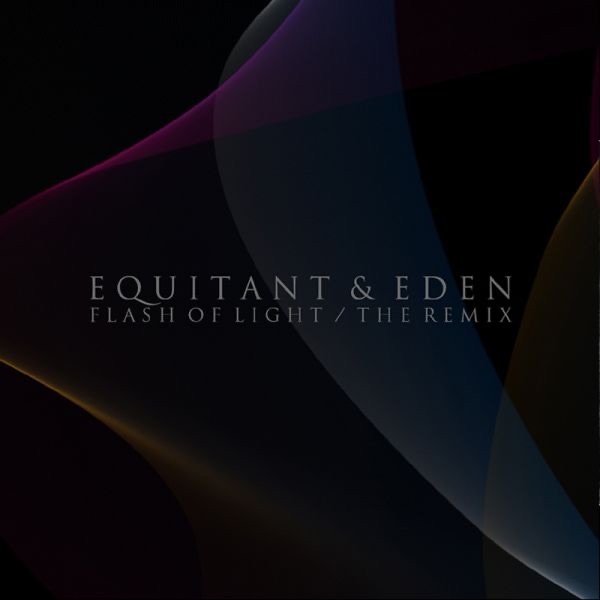 Flash of Light (The Remix) - Single