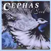 Cephas - In This Place