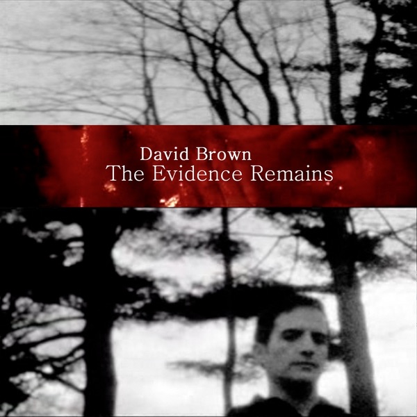 The Evidence Remains (Video Groove)
