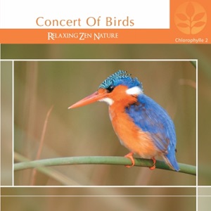 Chlorophylle II: Concert of Birds