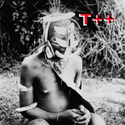 Wireless - EP - T++