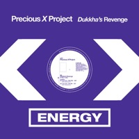 Precious X Project - Dukkha's Revenge (Giorgio Prezioso vs. Libex Remix)
