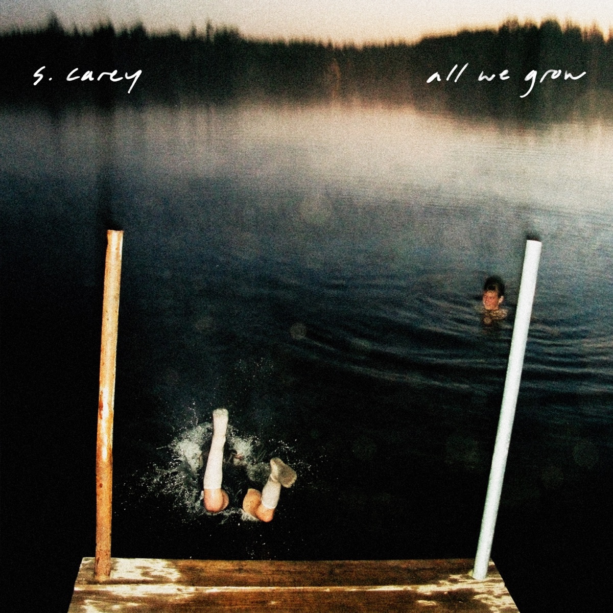 All We Grow (Bonus Track Version) cover art