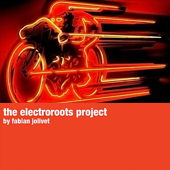 The Electroroots Project