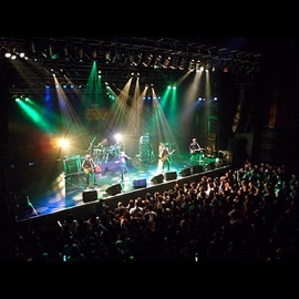 Witchhunt Praying Mantis