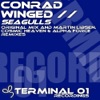 Seagulls (Original Mix)