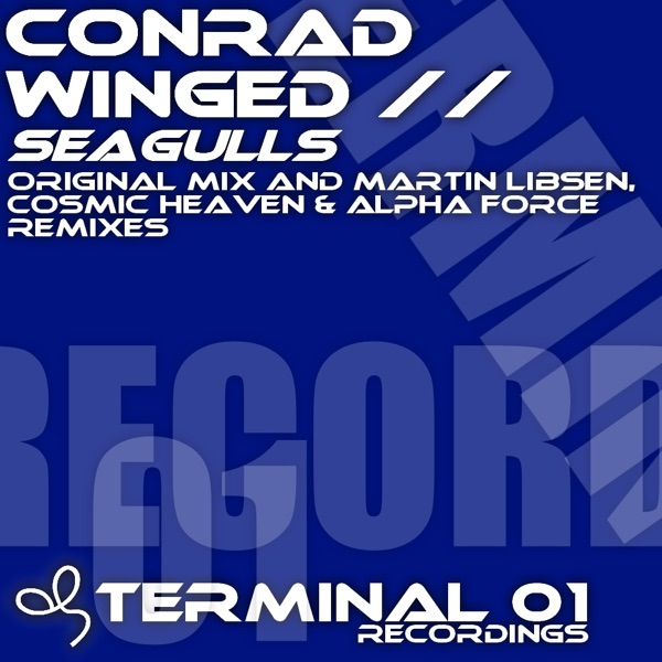 Seagulls - Single