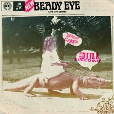 Beady Eye - Millionaire