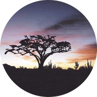 Funk Some Thoughts EP - Arnaud Le Texier & V-Sexion