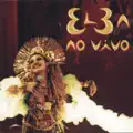 BEIJA FLOR