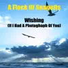 wishing (if I had a photograph)