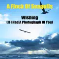Wishing (If I Had A Photograph Of You)