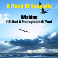 A Flock of Seagulls - Wishing (If I Had A Photograph Of You) (Re-Recorded / Remastered)
