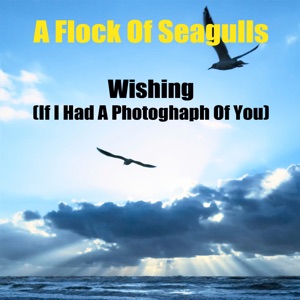 Wishing (If I Had A Photograph Of You) (Re-Recorded / Remastered)