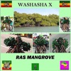 Ras Mangrove - Single