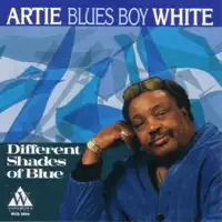 I'm Gonna Marry My Mother-In-Law — Artie "Blues Boy" White