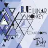Blue Lunar Monkey - Hikuri (Viaje Interno Remix)