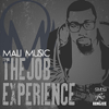 The Job Experience - Mali Music