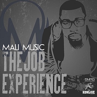 Mali Music The Job Experience