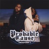 Probable Cause, Chapter 1