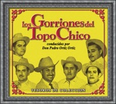 Los Gorriones del Topochico - Se Que Te Vas a Casar