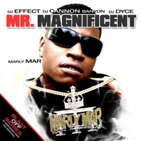 Mr. Magnificent - Marly Mar