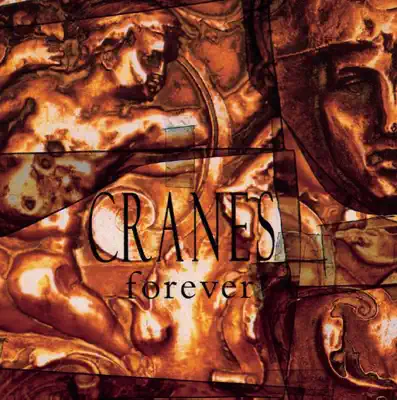 Hör dir „Forever“ von Cranes an