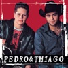 Pedro & Thiago, 2001