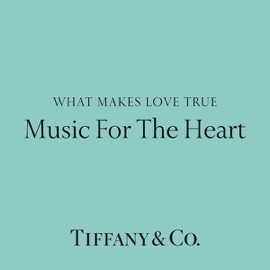 Can't Help Falling In Love Brandi Carlile