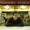 johnny clegg - utshani obulele