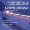 Northbound (Anoikis Remix) - Experiential & Alex Collings lyrics