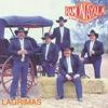 Ramón Ayala y Sus Bravos del Norte - Donde Andbas