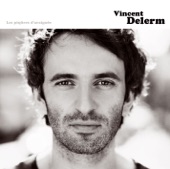 Vincent Delerm - Sous les avalanches