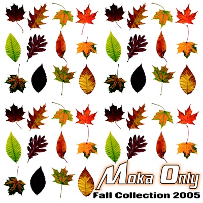 Fall Collection 2005