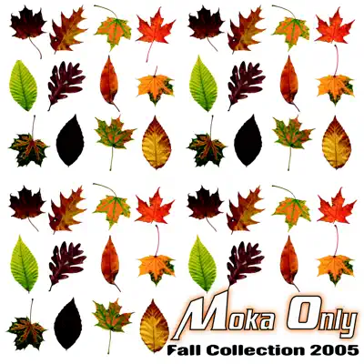 Fall Collection 2005 - Moka Only Fall Collection 2005 - Moka Only