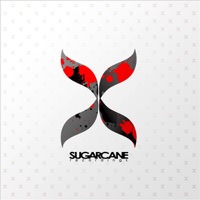 Lies (feat. Elle P) - EP - Robot Koch