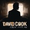 Fade Into Me - David Cook lyrics