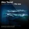 Alex Tassel / Alone